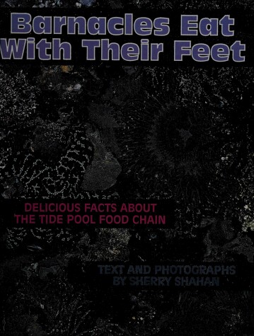 Book cover for Barnacles Eat with Their Feet