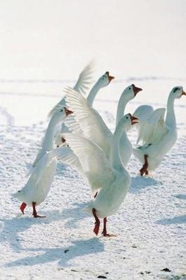 Book cover for Journal Geese Flapping Wings Snow