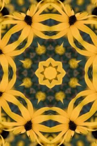 Cover of (Website Password Organizer) Kaleidoscope Image 9