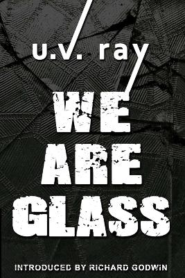 Book cover for We Are Glass