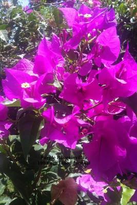 Book cover for Purple Bougainvillea 100 Page Lined Journal