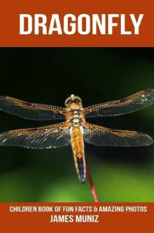 Cover of Dragonfly