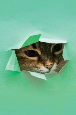 Cover of Funny Peeking Cat Notebook