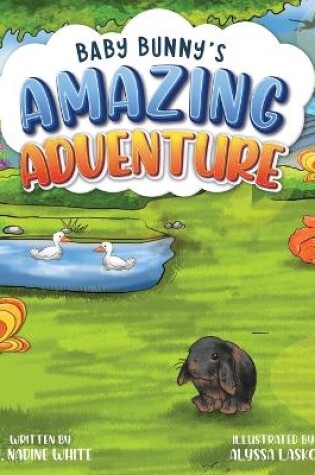 Cover of Baby Bunny's Amazing Adventure