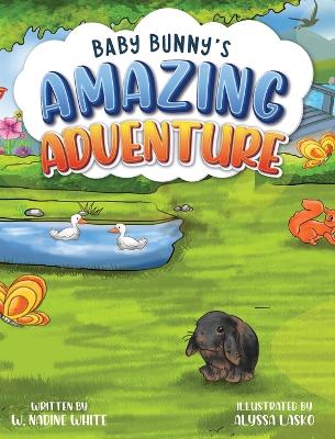 Cover of Baby Bunny's Amazing Adventure