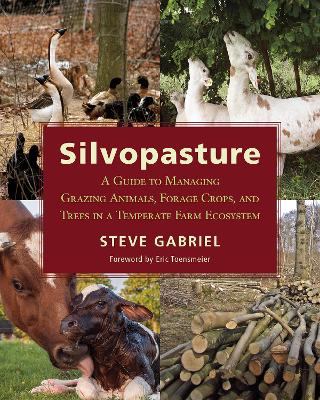 Book cover for Silvopasture