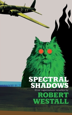 Book cover for Spectral Shadows