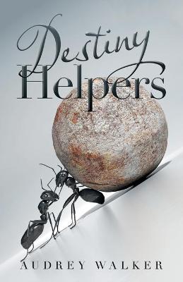 Book cover for Destiny Helpers