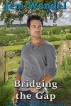 Book cover for Bridging the Gap