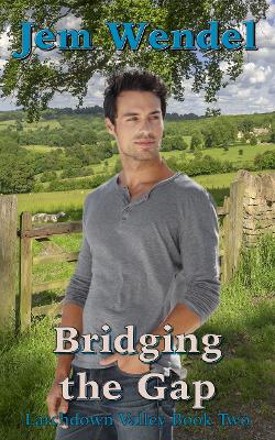 Book cover for Bridging the Gap