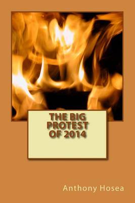 Book cover for The Big Protest Of 2014