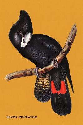 Book cover for Black Cockatoo