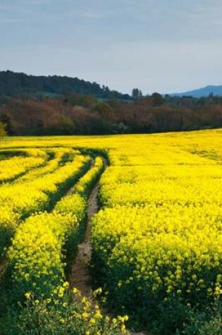 Cover of A Road Surrounded by Yellow Rapeseed, for the Love of Flowers