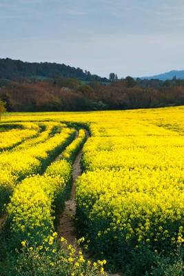 Book cover for A Road Surrounded by Yellow Rapeseed, for the Love of Flowers