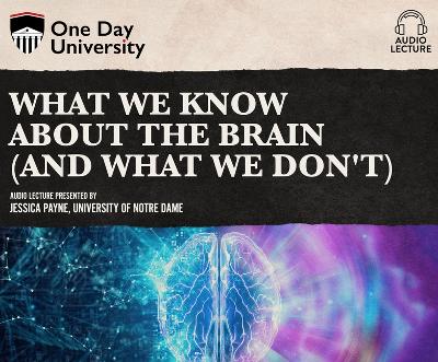 Book cover for What We Know about the Brain (and What We Don't)