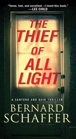 Book cover for The Thief of All Light