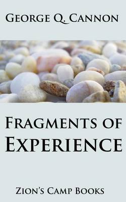 Book cover for Fragments of Experience