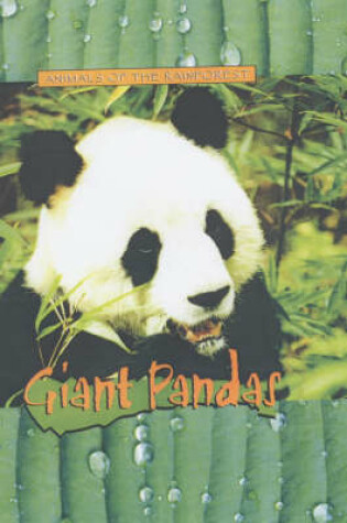Cover of Animals of the Rainforest: Giant Pandas