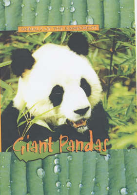 Book cover for Animals of the Rainforest: Giant Pandas