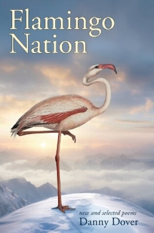 Cover of Flamingo Nation