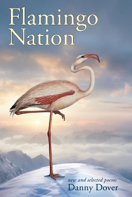 Book cover for Flamingo Nation