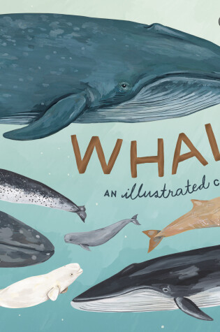 Cover of Whales