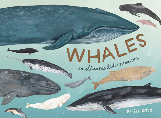 Book cover for Whales