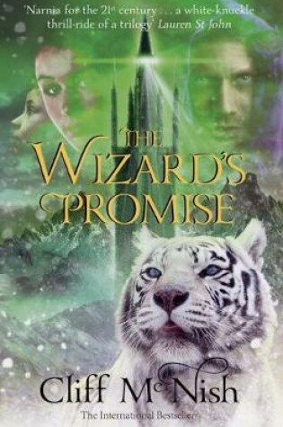 Cover of The Wizard's Promise