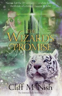 Cover of The Wizard's Promise