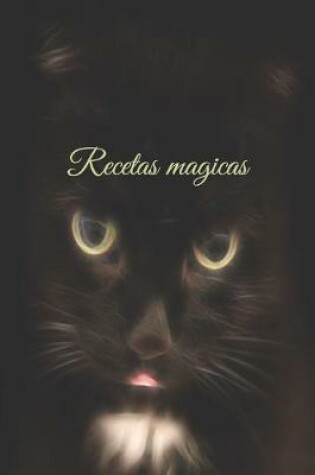 Cover of Recetas magicas