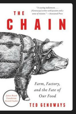 Cover of The Chain