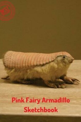 Cover of Pink Fairy Armadillo Sketchbook