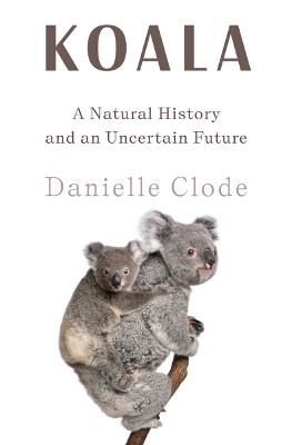 Book cover for Koala