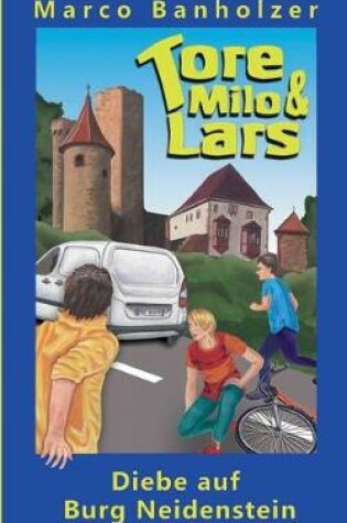 Cover of Tore, Milo & Lars - Diebe auf Burg Neidenstein