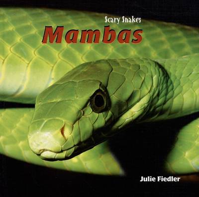 Book cover for Mambas