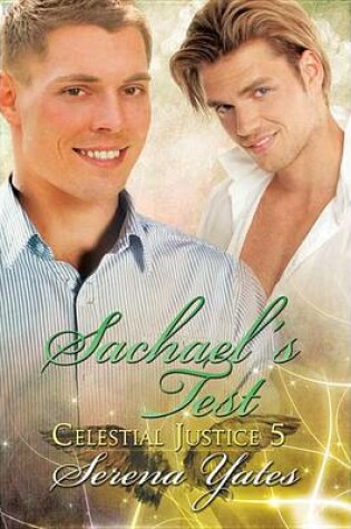 Cover of Sachael's Test