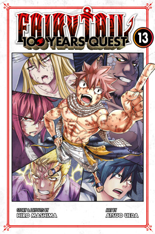 Cover of FAIRY TAIL: 100 Years Quest 13