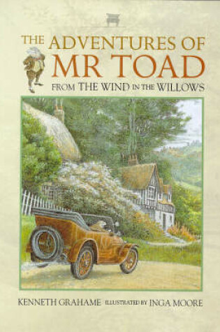 Cover of Adventures Of Toad