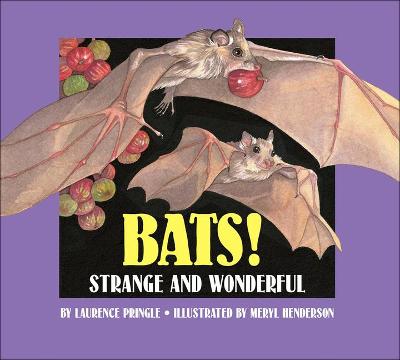 Book cover for Bats: Strange and Wonderful