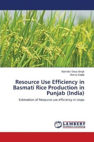 Cover of Resource Use Efficiency in Basmati Rice Production in Punjab (India)