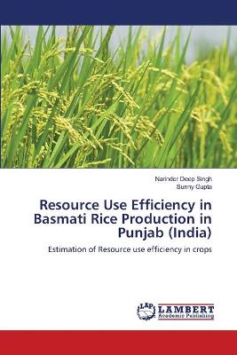 Book cover for Resource Use Efficiency in Basmati Rice Production in Punjab (India)