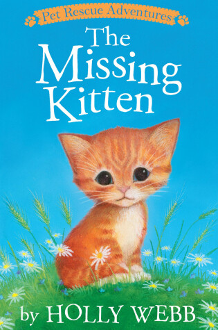 Cover of The Missing Kitten