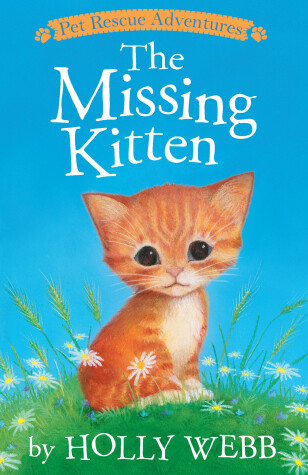 Book cover for The Missing Kitten