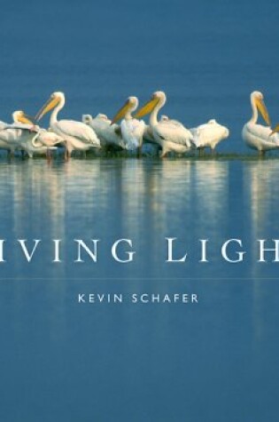 Cover of Living Light