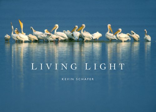 Book cover for Living Light