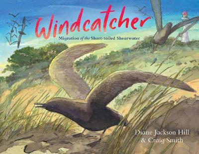 Book cover for Windcatcher