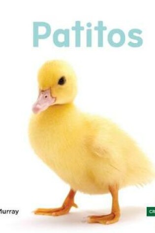 Cover of Patitos (Ducklings) (Spanish Version)