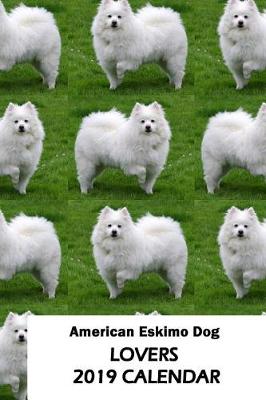 Book cover for American Eskimo Dog Lovers 2019 Calendar