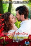 Book cover for Surprise Valentine Love Story Romance Series
