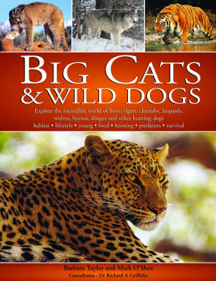 Book cover for Big Cats and Wild Dogs